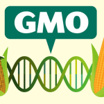 转基因食品（GMOs）基本问题解答